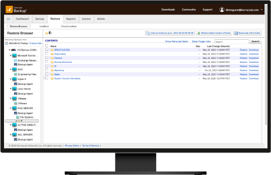 Screenshot della funzionalità Barracuda Backup Restore